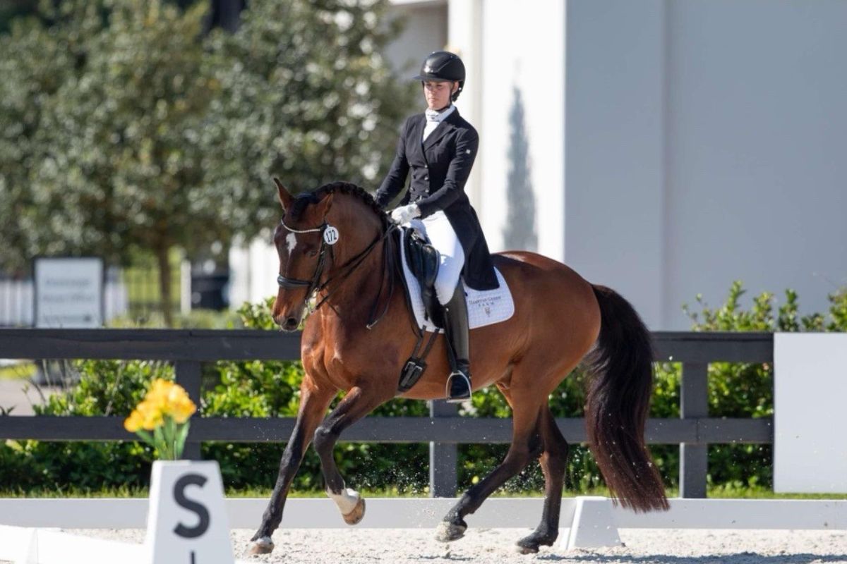 Ocala-based dressage rider Sophia Schults, representing Hampton Green Farm, fulfills her lifelong dream of competing at the professional level.