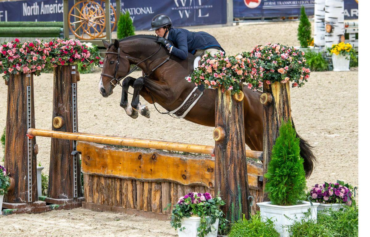 Ocala-based Amanda Steege and the Belgian Warmblood gelding Laffite de Muze have enjoyed great success. Laffitte de Muze was the USEF High Performance Hunter of the Year.