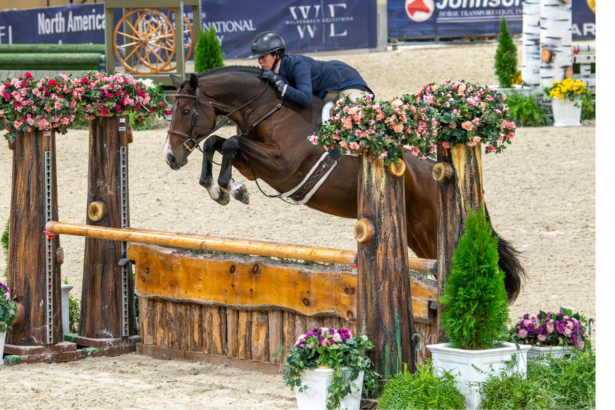 Ocala-based Amanda Steege and the Belgian Warmblood gelding Laffite de Muze have enjoyed great success. Laffitte de Muze was the USEF High Performance Hunter of the Year.