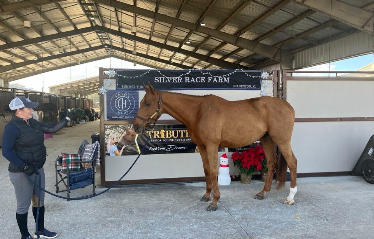 Summer Thurber and Trump This, at the Florida Thoroughbred Transformation Expo Dec. 13.
