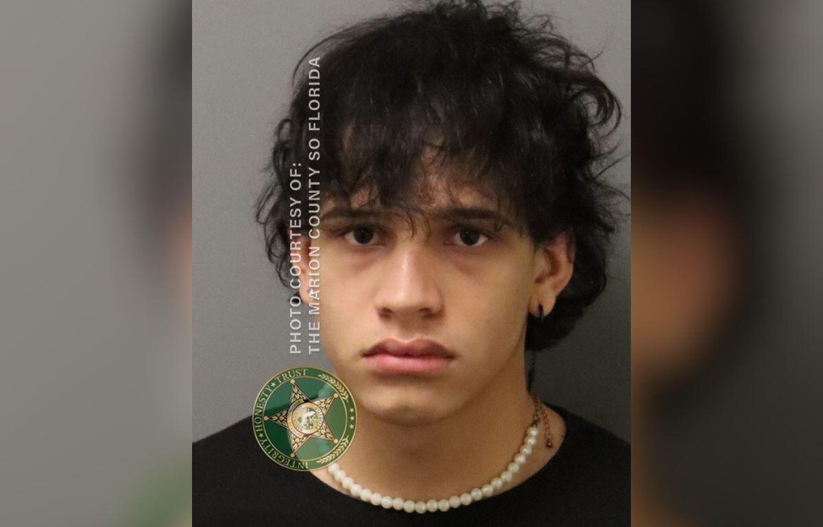 Brayan Alvarez-Torres, 17, is charged with multiple counts of Possession of Child Pornography.