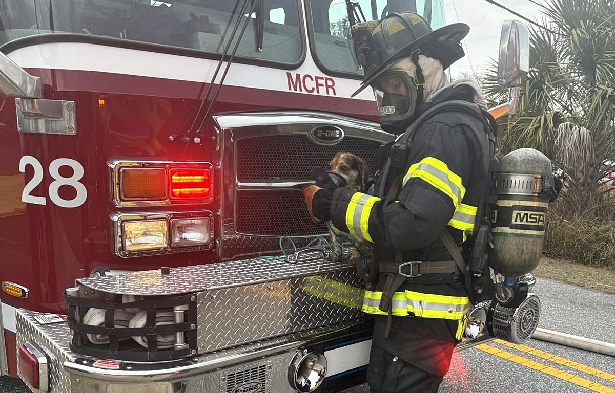 A firefighter administers oxygen to one of the two dogs rescued from the smoky home.