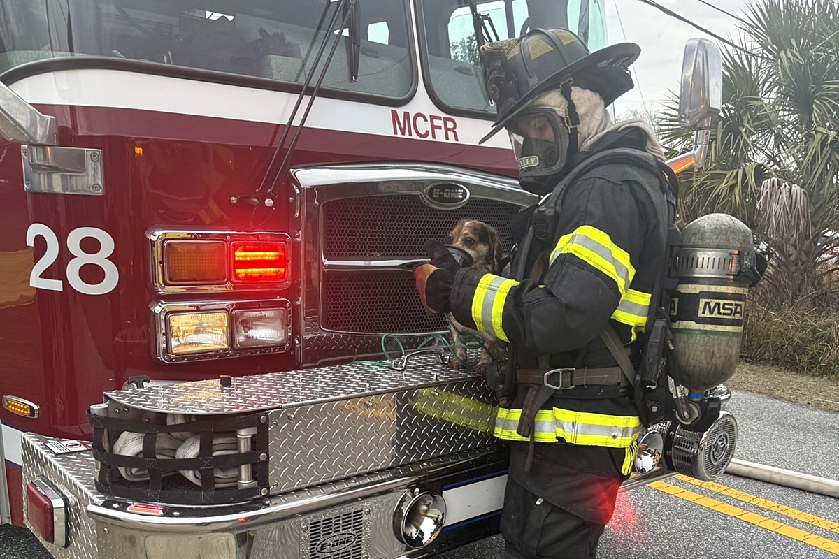 A firefighter administers oxygen to one of the two dogs rescued from the smoky home.