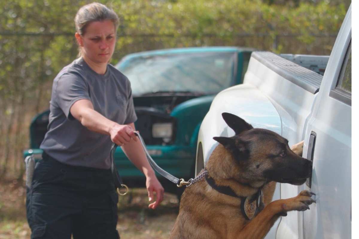 Lieutenant Michelle Green works alongside her K9 partner, Tazzy, during their 10 years of dedicated service with the Ocala Police Department.