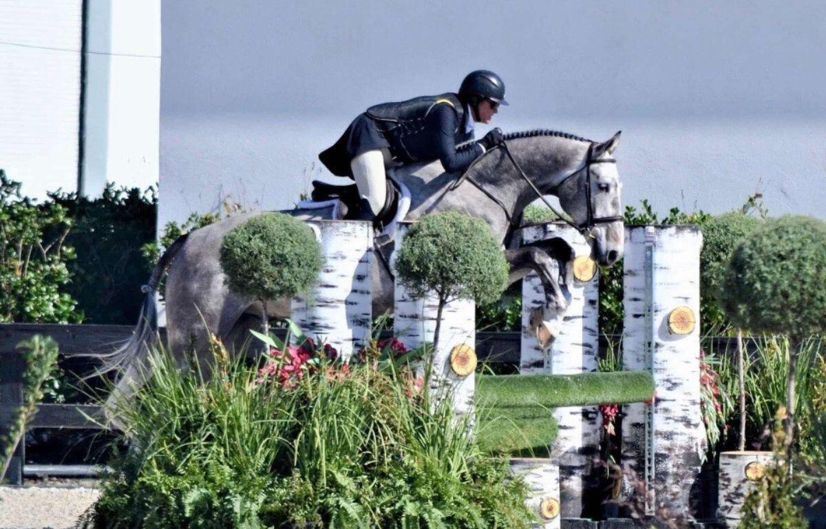 Lauren Schweppe, a prominent figure in the Ocala show circuit for over 25 years, is pictured here exhibiting Sheila Slack's Driftwood. Photo courtesy of Diane Charipar, used with permission.