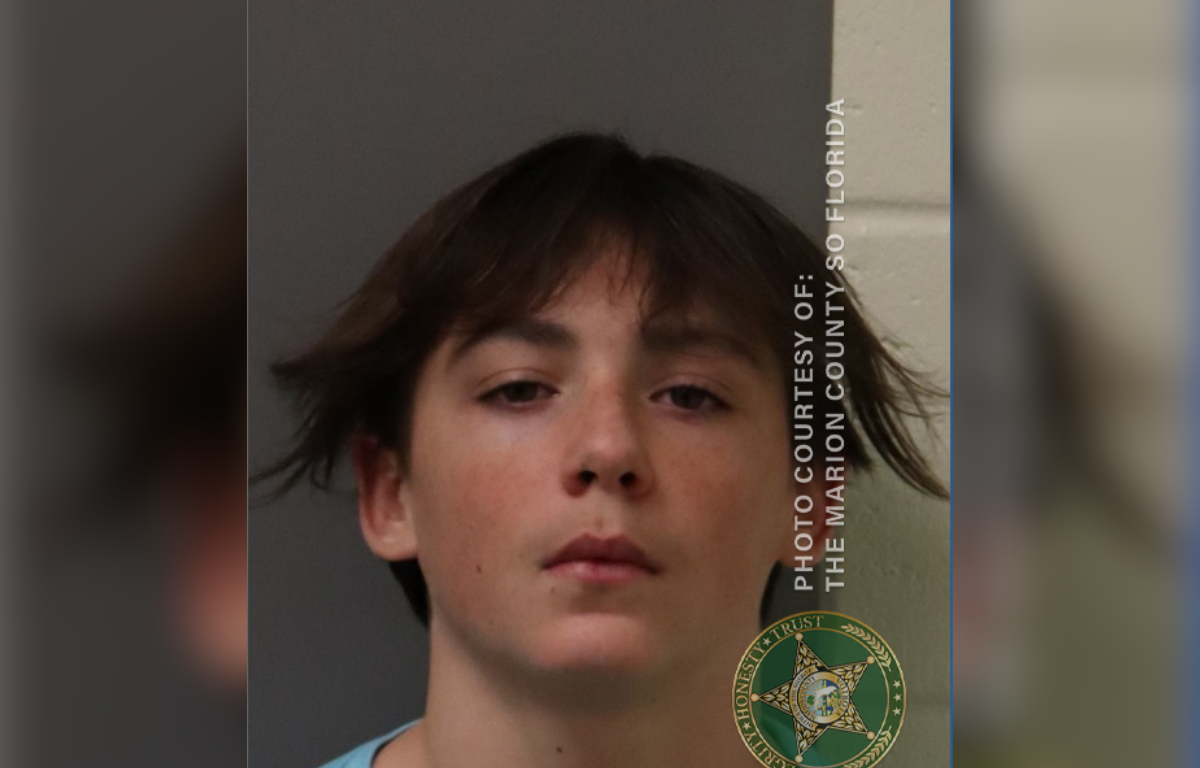 Bentley Vradenburg, 15, faces charges of Grand Theft of a Motor Vehicle.