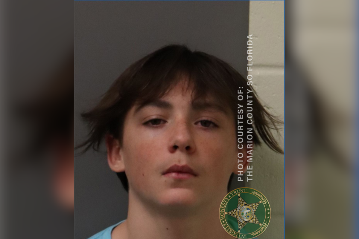 Bentley Vradenburg, 15, faces charges of Grand Theft of a Motor Vehicle.