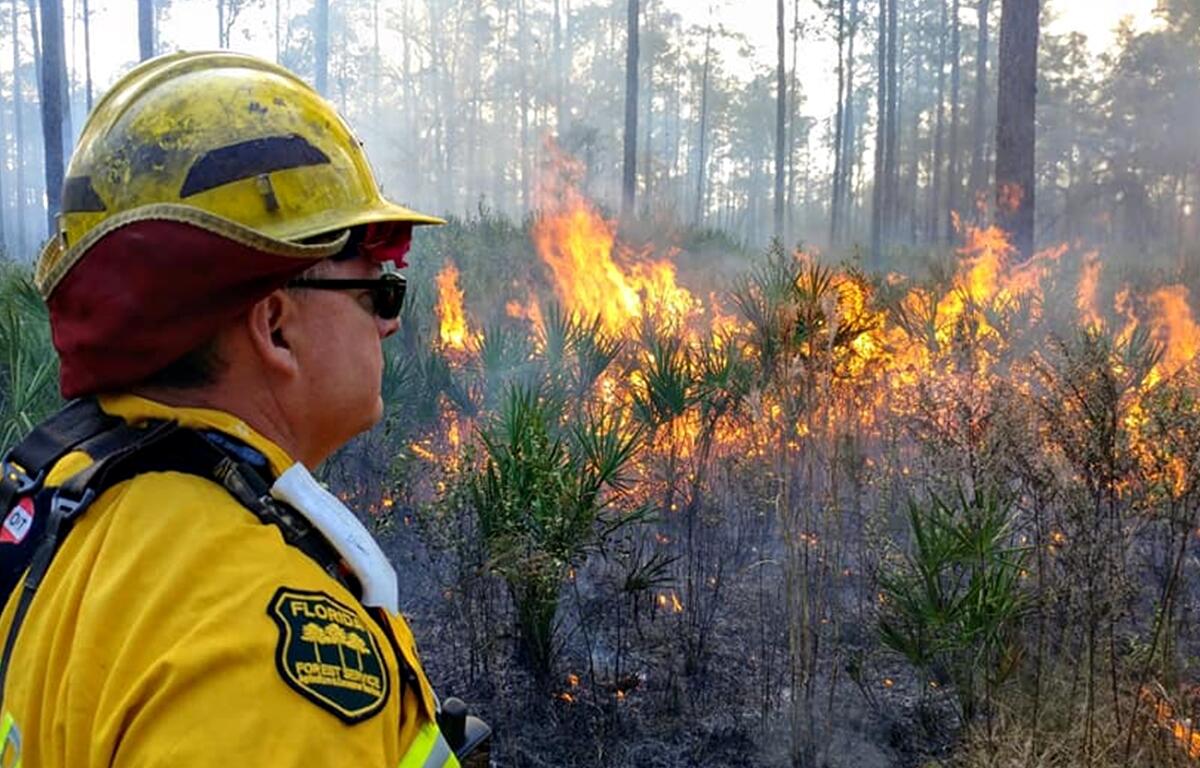 The Florida Forest Service is conducting the controlled 32-acre burn to reduce wildfire risk and improve habitat.