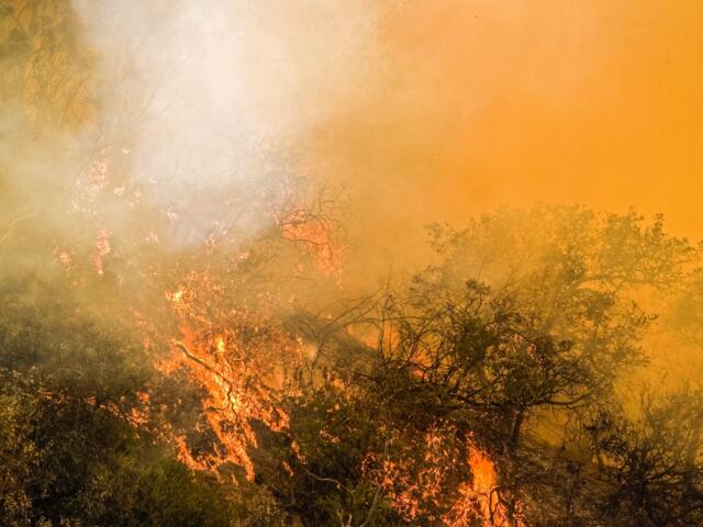 Wildfire burning through dense, dry vegetation with heavy smoke filling the air and orange glow from flames.