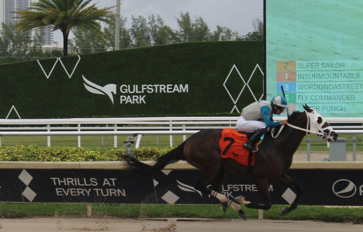 As the decoupling debate continues in Tallahassee, a proposed change to HB 105 could impact Ocala’s horse industry by requiring tracks to give three years’ notice before ending live racing.