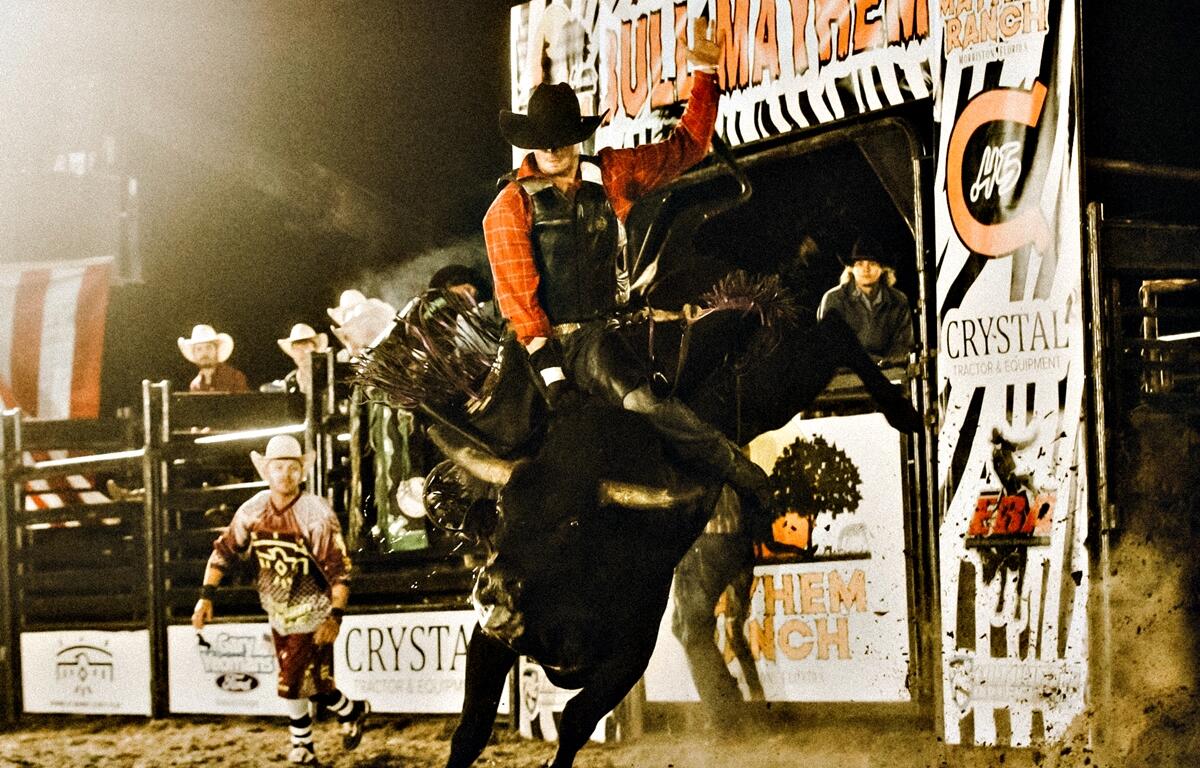 A cowboy clings to a powerful bull during a heart-pounding ride at the Mayhem Ranch Rodeo Fest in Morriston, FL, as rodeo clowns and fellow riders stand ready. The event, sanctioned by the Elite Bullriders Association, brings high-octane action, family fun, and barbecue to the arena.