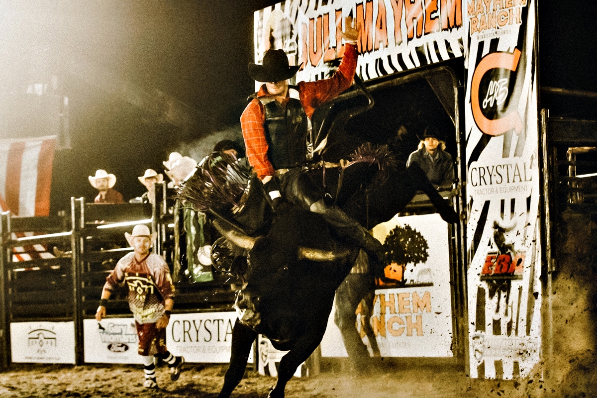 A cowboy clings to a powerful bull during a heart-pounding ride at the Mayhem Ranch Rodeo Fest in Morriston, FL, as rodeo clowns and fellow riders stand ready. The event, sanctioned by the Elite Bullriders Association, brings high-octane action, family fun, and barbecue to the arena.
