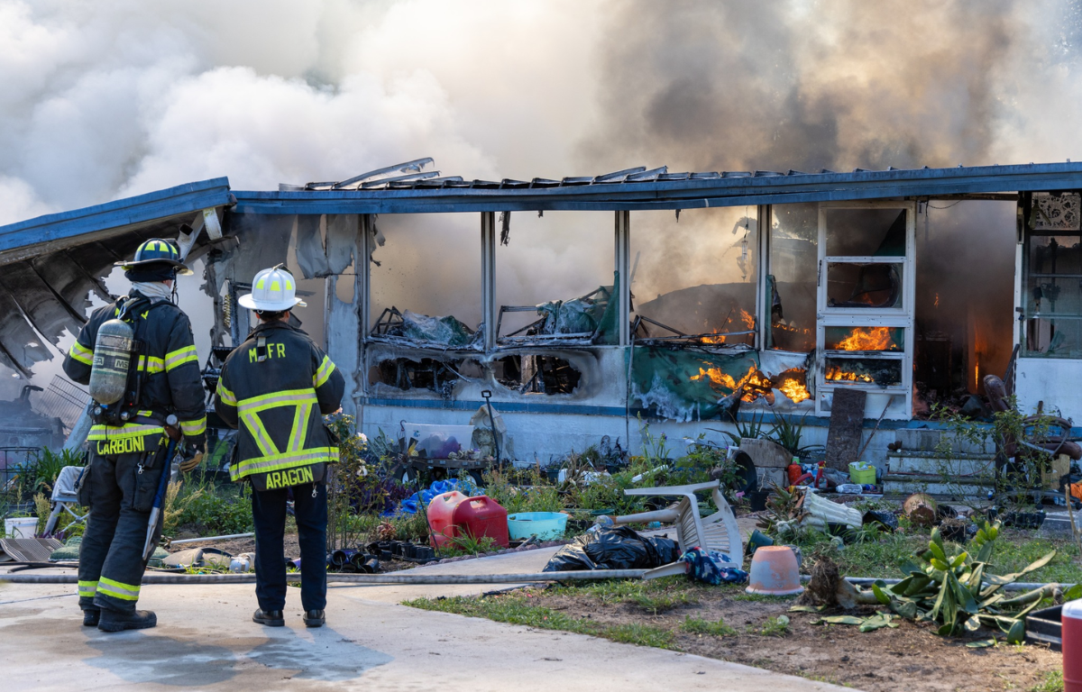 Fire rescue crews report that two dogs lost their lives in a Silver Springs structure fire.