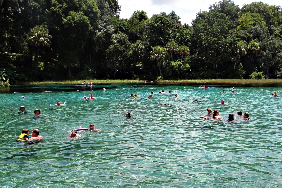 Swimmers enjoy the crystal-clear waters of the Rainbow River in Dunnellon, Fla., surrounded by lush greenery on a sunny day.
