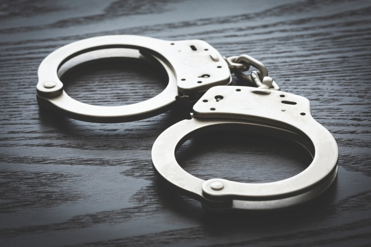FDLE released statewide incident-based reports from last year.