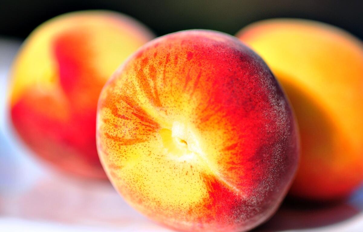 A close-up of ripe peaches evokes the magical fruit at the heart of James and the Giant Peach, a youth theater production running April 11–13 at the Mary Sue Rich Community Center in Ocala, Fla.