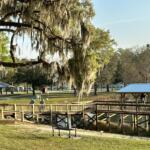 New lighting upgrades are coming to the pavilion at Lake Lillian Park in Belleview, aiming to improve safety and visibility for evening events like Trunk or Treat and Light Up Lake Lillian.