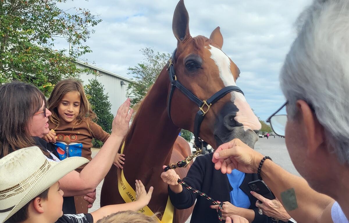Children pet a brown horse with a white blaze on its face during a school visit from the Ocala Horse Alliance.