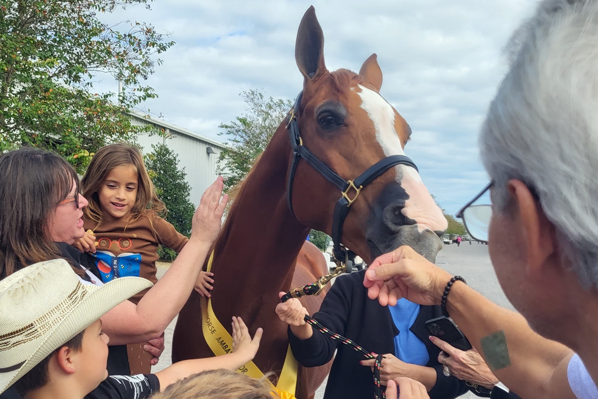 Children pet a brown horse with a white blaze on its face during a school visit from the Ocala Horse Alliance.
