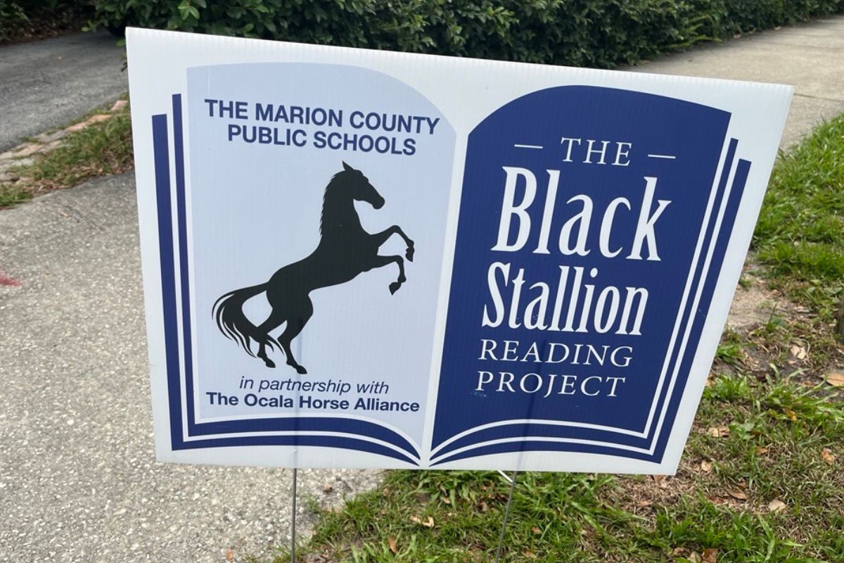 A placard with an image of a horse and writing in the left, and writing against a blue background on right. On the left is pavement in the background and foreground, and on the right is grass.