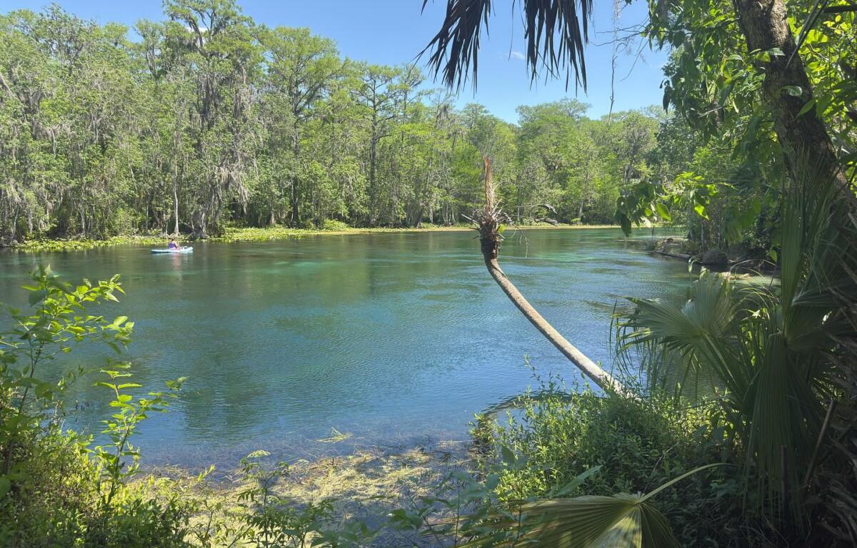 A kayaker paddles through the crystal-clear waters of Silver Springs on a sunny afternoon, surrounded by lush greenery.