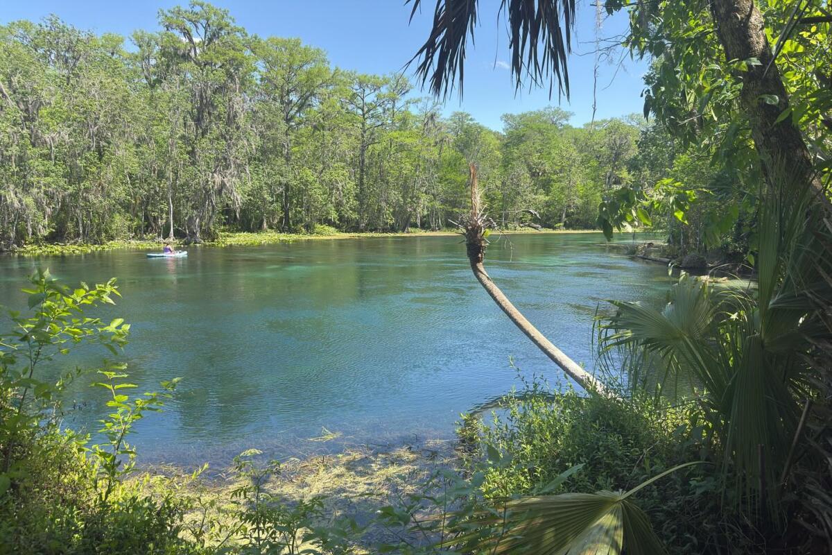 A kayaker paddles through the crystal-clear waters of Silver Springs on a sunny afternoon, surrounded by lush greenery.