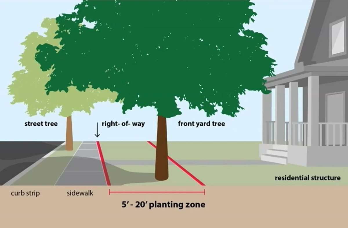 A diagram shows the planting zone between a residential structure and the street, highlighting the right-of-way, sidewalk, and areas designated for street and front yard trees.