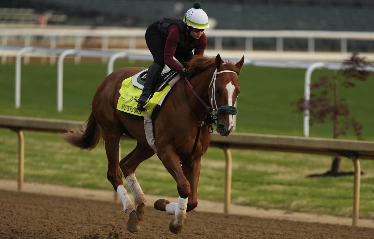 Photo of Kentucky Derby entrant American Promise working out at Churchill Downs 