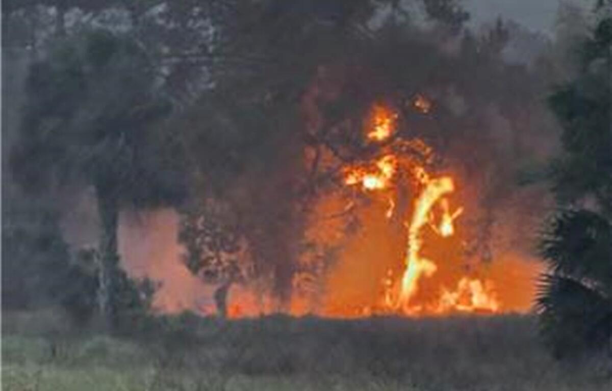 A brush fire burns intensely through a wooded area in Ocala, with tall flames climbing trees and thick smoke rising into the air.
