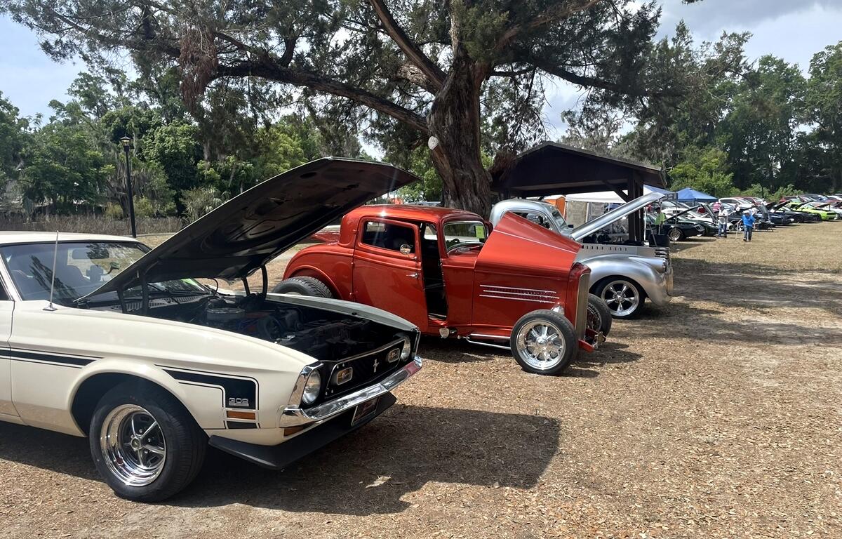 Classic and vintage cars with open hoods on display beneath large oak trees at the Gregg Smith Automotive Car Show in Belleview.