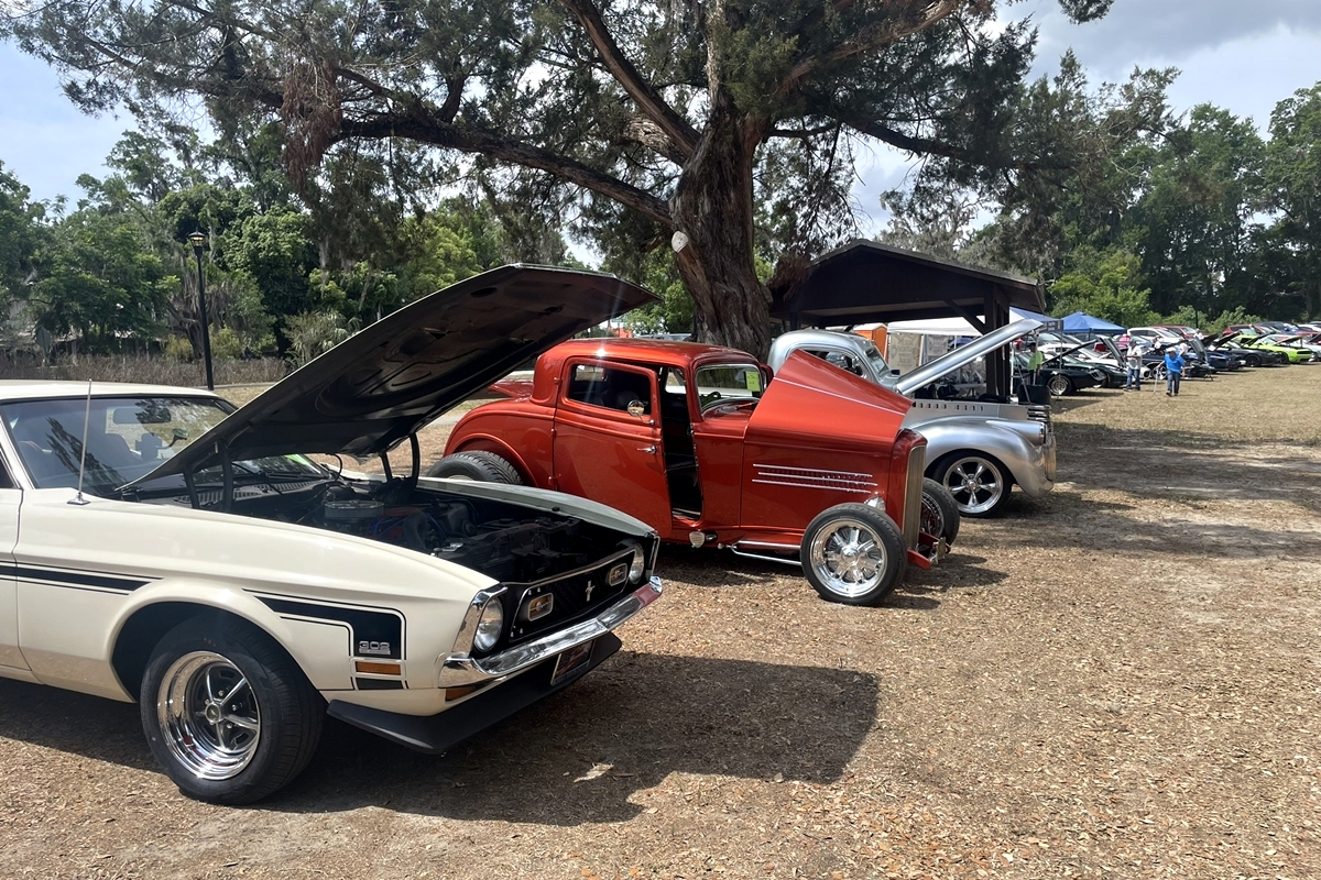Classic and vintage cars with open hoods on display beneath large oak trees at the Gregg Smith Automotive Car Show in Belleview.