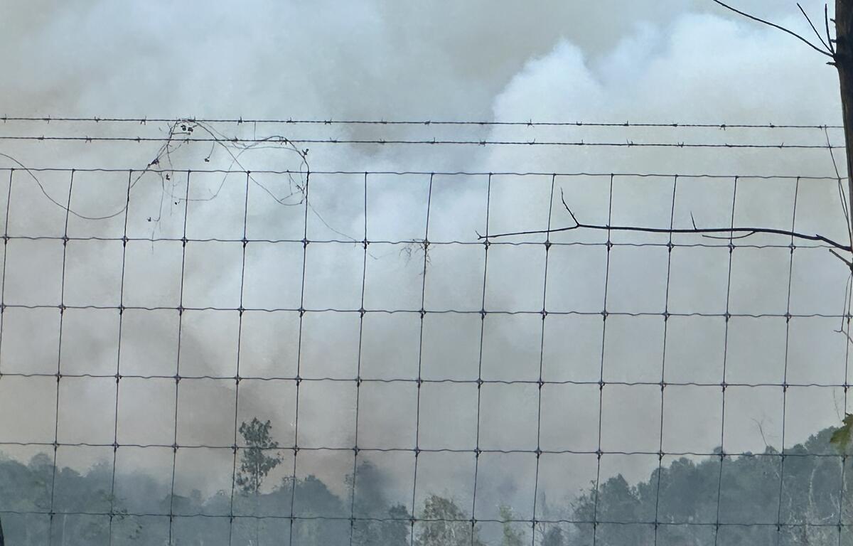 Thick smoke from a wildfire billows into the sky behind a wire and barbed fence, partially obscuring trees in the background. Some vegetation and branches are caught in the fence, emphasizing the fire’s proximity.
