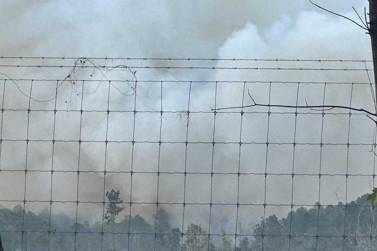 Thick smoke from a wildfire billows into the sky behind a wire and barbed fence, partially obscuring trees in the background. Some vegetation and branches are caught in the fence, emphasizing the fire’s proximity.