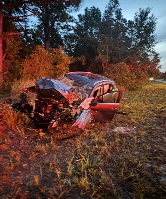 Wrecked red car in a grassy area near trees after crashing into a tree in Ocklawaha; severe front-end damage with door open and airbags deployed.