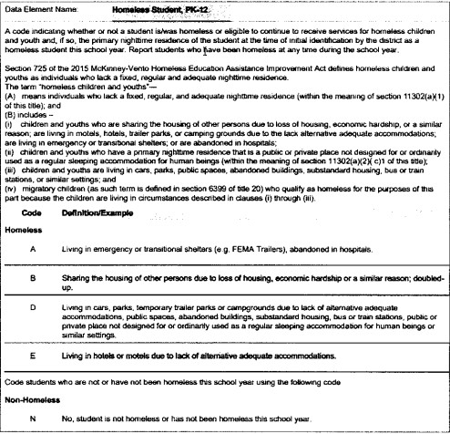 Key details current living situations of homeless youth.