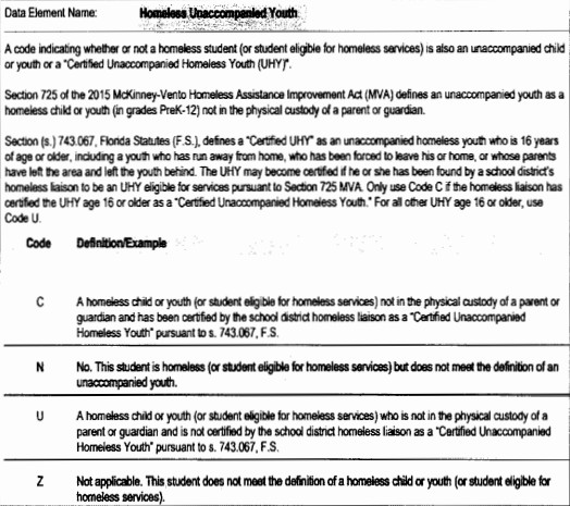 Key details which students are considered "homeless unaccompanied youth"