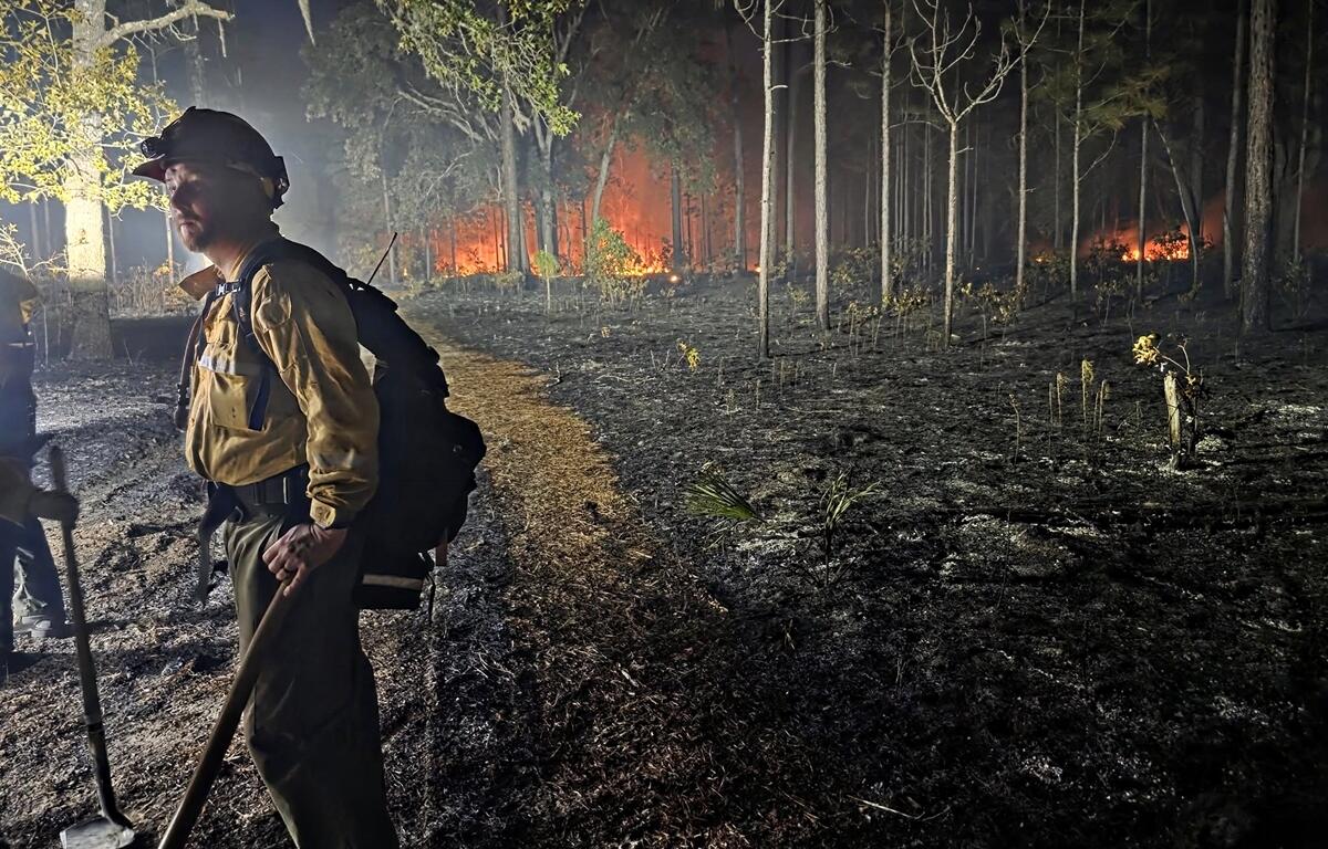 Wildland firefighter stands with hand tool near scorched ground and burning forest in Ocala National Forest during nighttime wildfire response.