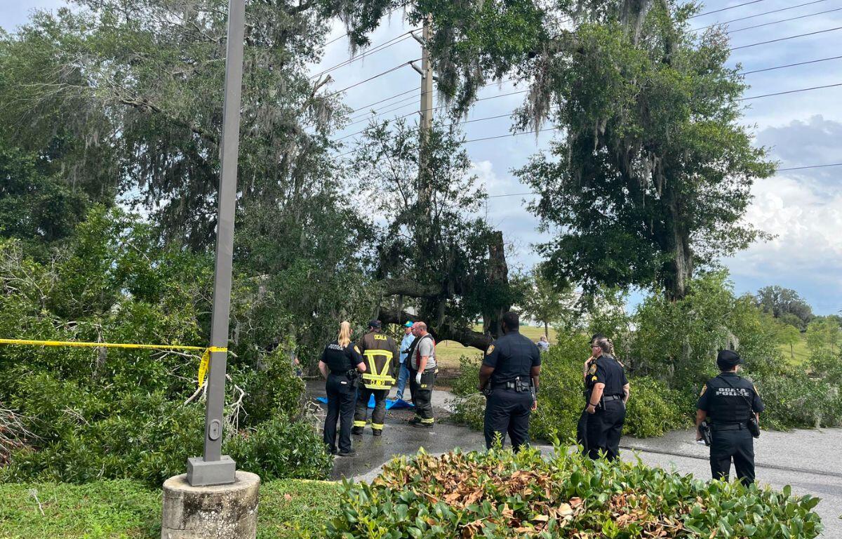 First responders from Ocala gather around tree that had fallen in the middle of a road, striking and killing a lawn service worker during a thunderstorm.
