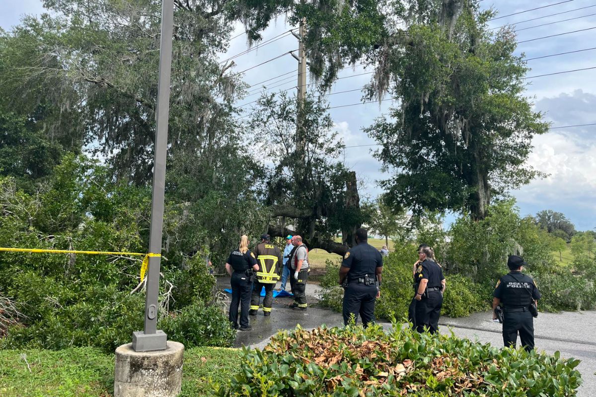 First responders from Ocala gather around tree that had fallen in the middle of a road, striking and killing a lawn service worker during a thunderstorm.