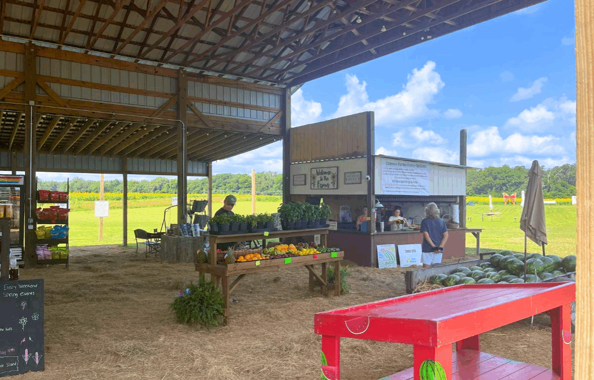 A covered open-air farm market with fresh produce, potted plants, and watermelons for sale at Cannon Farms in Dunnellon, Florida. Visitors are seen ordering at a wooden farm stand, with a sunny green field and blue sky in the background.