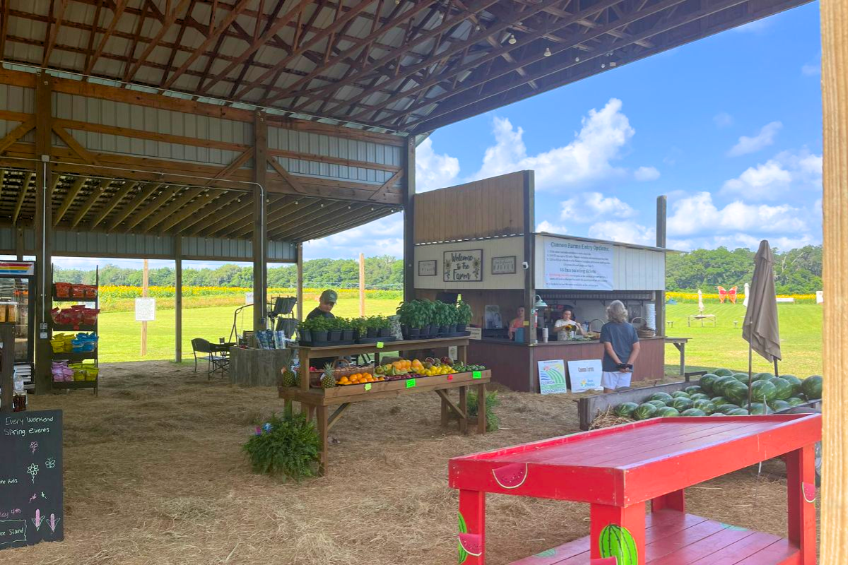 A covered open-air farm market with fresh produce, potted plants, and watermelons for sale at Cannon Farms in Dunnellon, Florida. Visitors are seen ordering at a wooden farm stand, with a sunny green field and blue sky in the background.