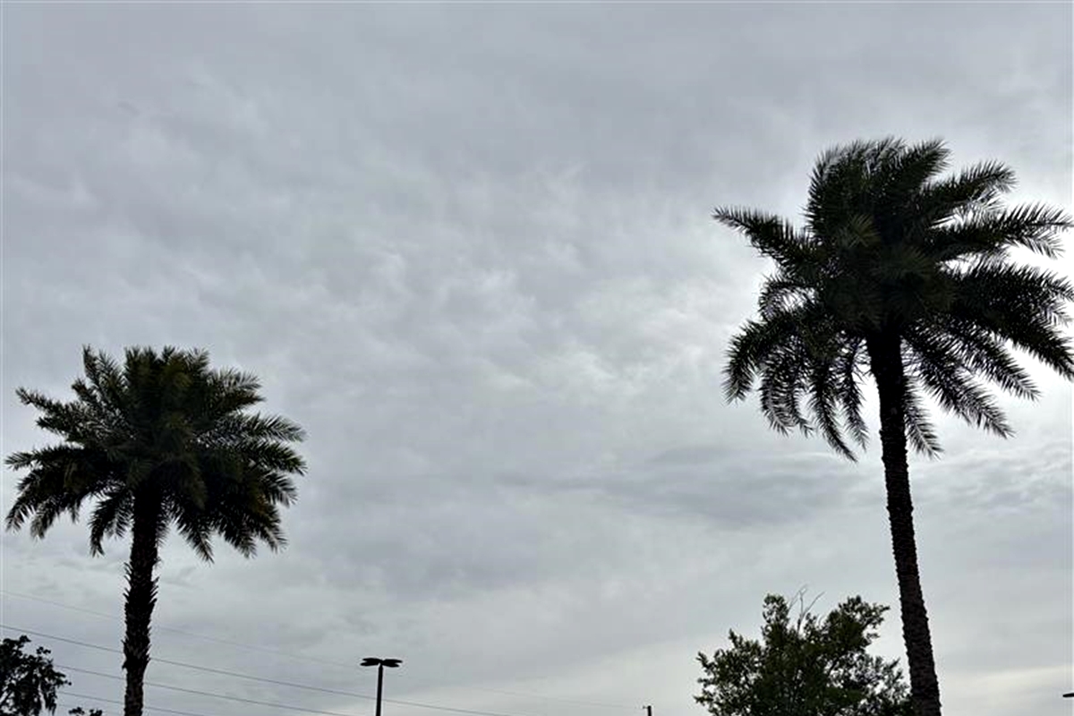 Overcast sky with thick clouds above two palm trees, signaling incoming storms during Florida’s rainy season.