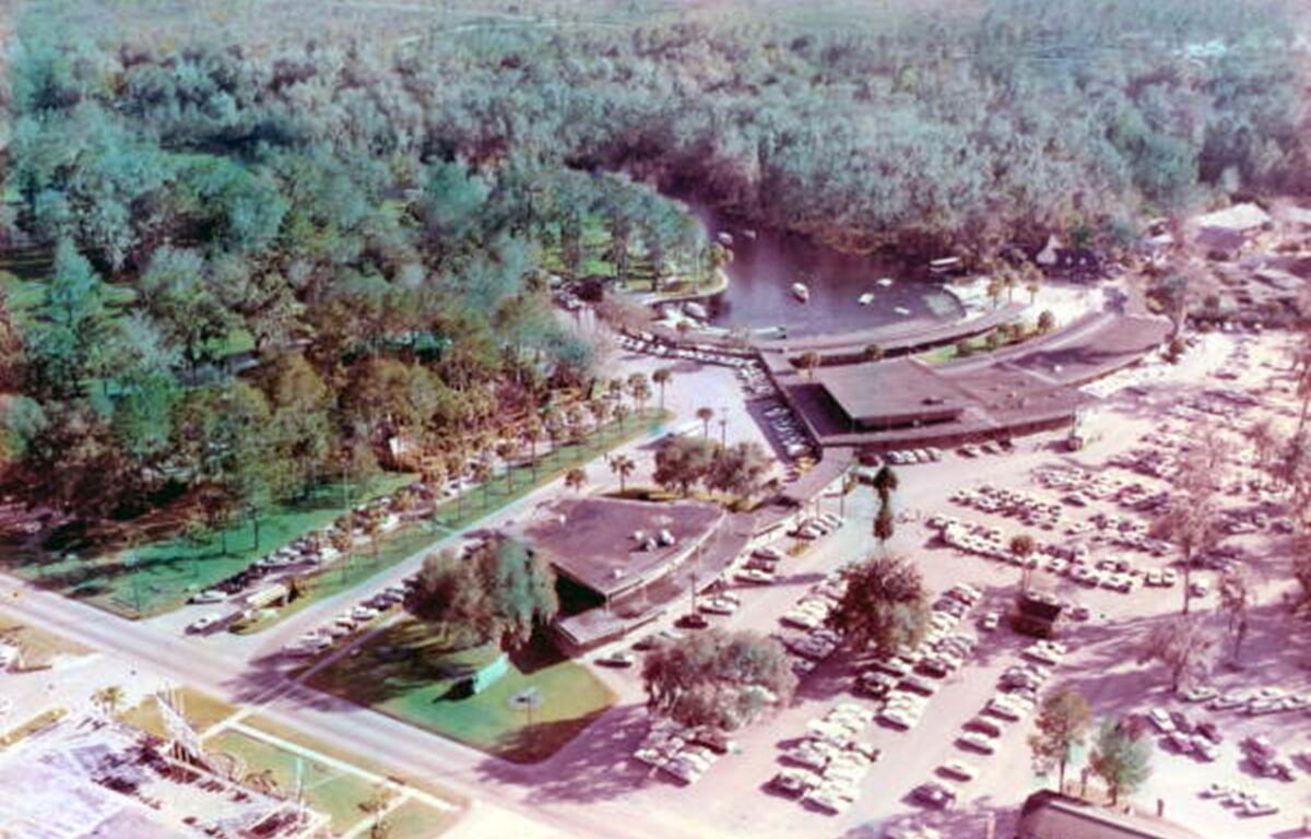 Aerial view of Florida’s Silver Springs attraction, showing a large parking lot filled with vintage cars, curved boat docks along a spring-fed lagoon, and buildings surrounded by lush trees. The lagoon is lined with glass-bottom boats, and forested areas extend into the background. A road runs across the bottom of the image, separating the parking area from landscaped grounds and additional structures.