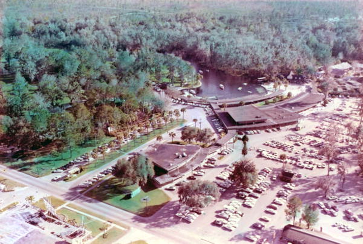 Aerial view of Florida’s Silver Springs attraction, showing a large parking lot filled with vintage cars, curved boat docks along a spring-fed lagoon, and buildings surrounded by lush trees. The lagoon is lined with glass-bottom boats, and forested areas extend into the background. A road runs across the bottom of the image, separating the parking area from landscaped grounds and additional structures.