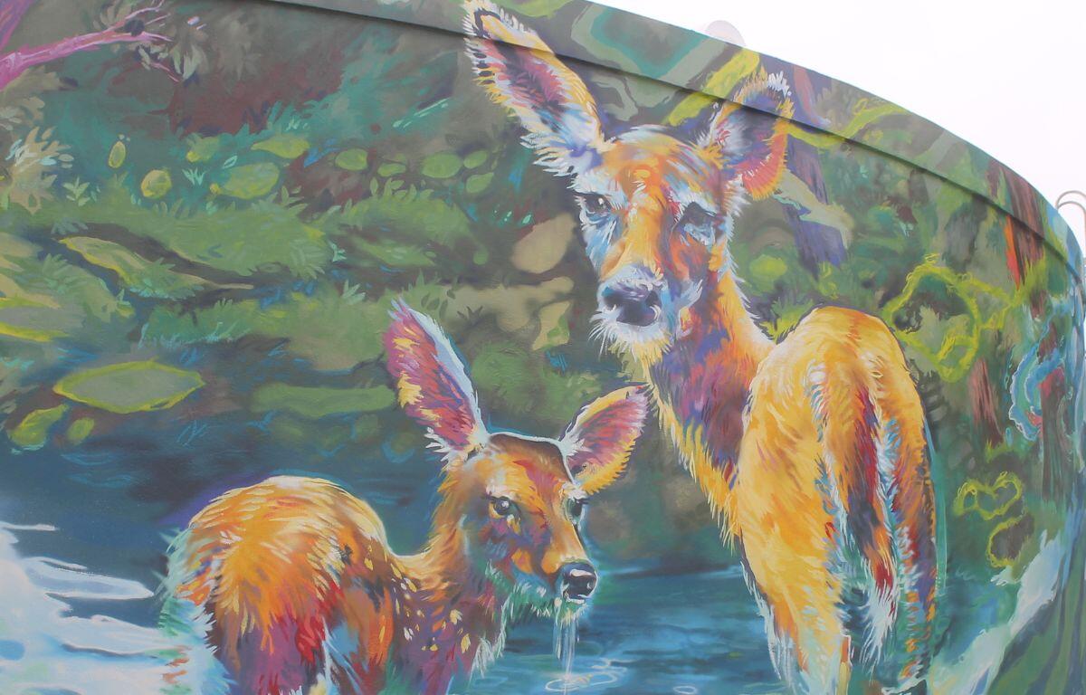 Two deer standing in front of a blue background, water.
