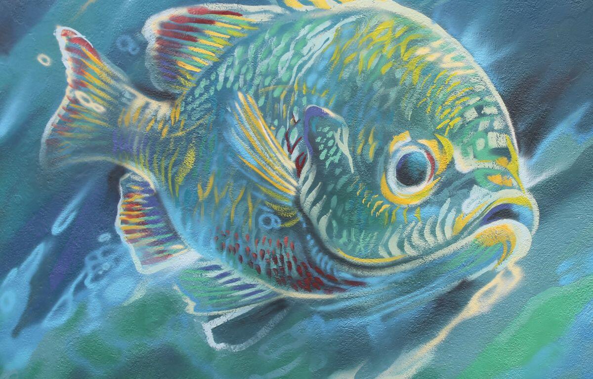 A fish in motion against a blue background.