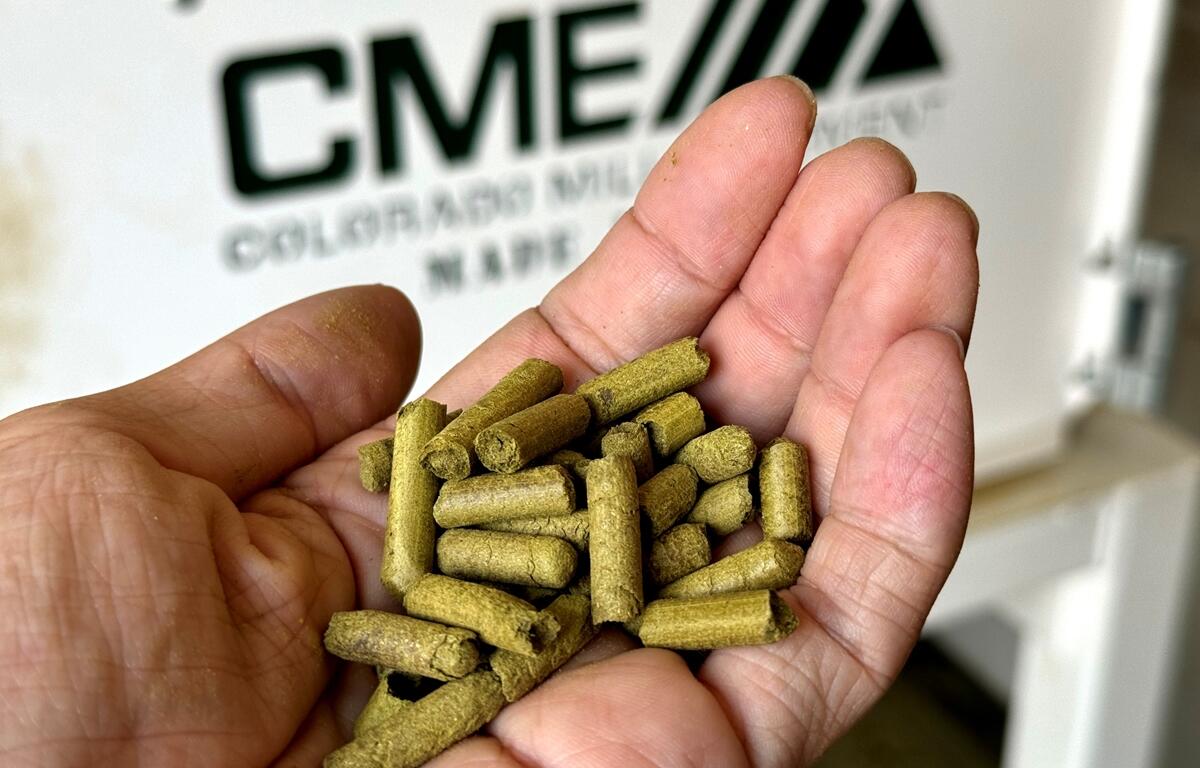 Close-up of a hand holding green hop pellets in front of processing equipment labeled Colorado Mill Equipment.