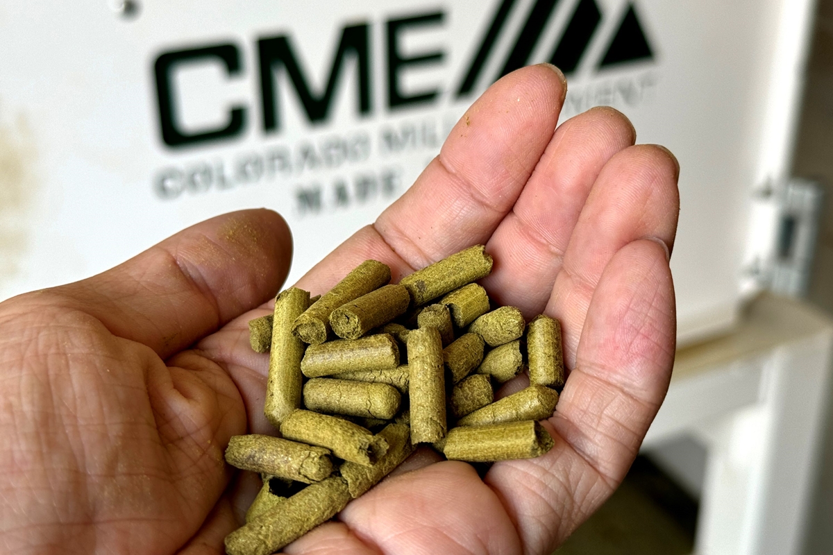 Close-up of a hand holding green hop pellets in front of processing equipment labeled Colorado Mill Equipment.