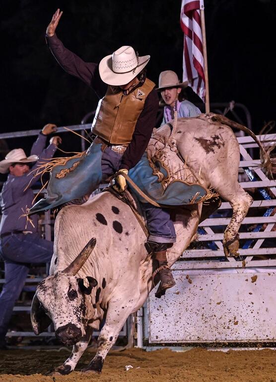 Cowboy in a leather vest and cowboy hat rides a bucking spotted bull as rodeo staff and spectators watch from the gate area.