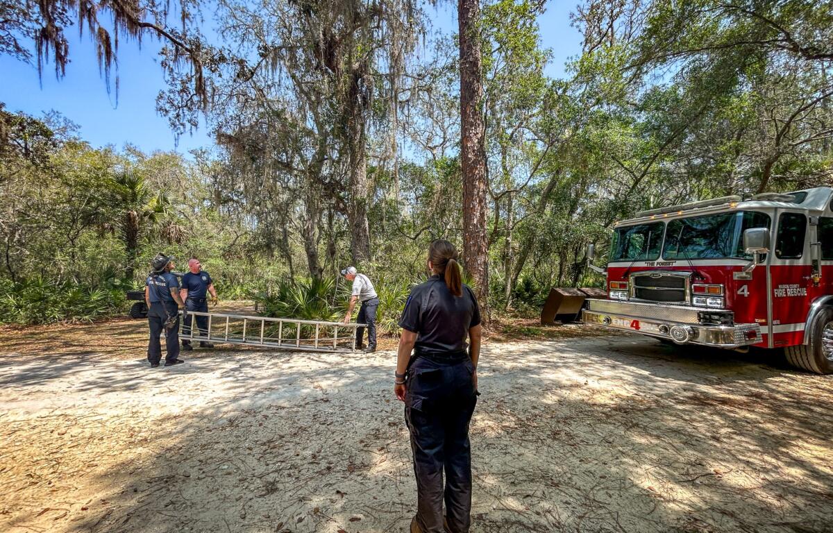 Photo shows Marion County Animal Services Animal Control Officer Marissa Stone looking on as firefighters rescue an orange cat.